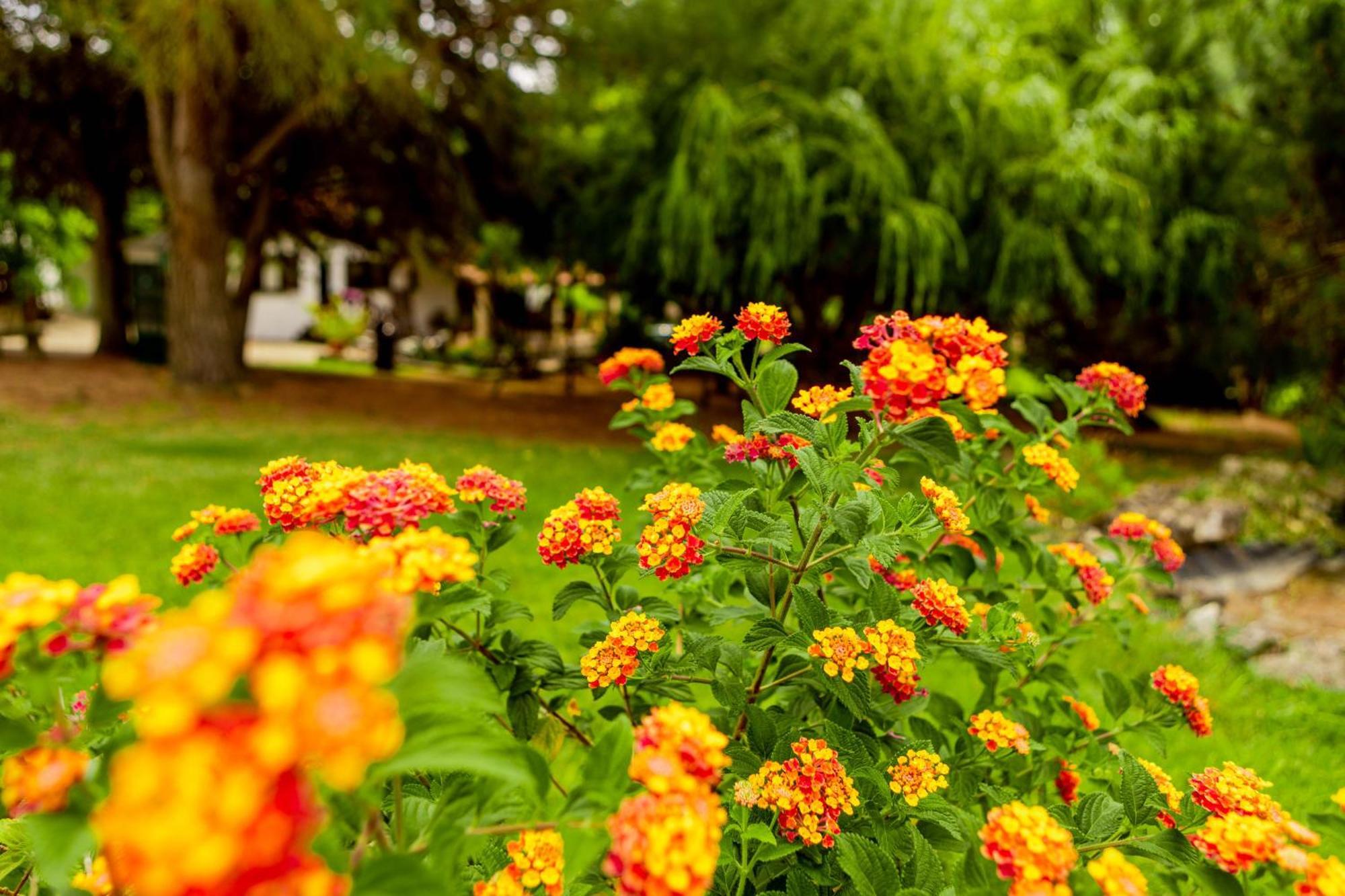 Quinta O Refugio Villa Azambuja Bagian luar foto