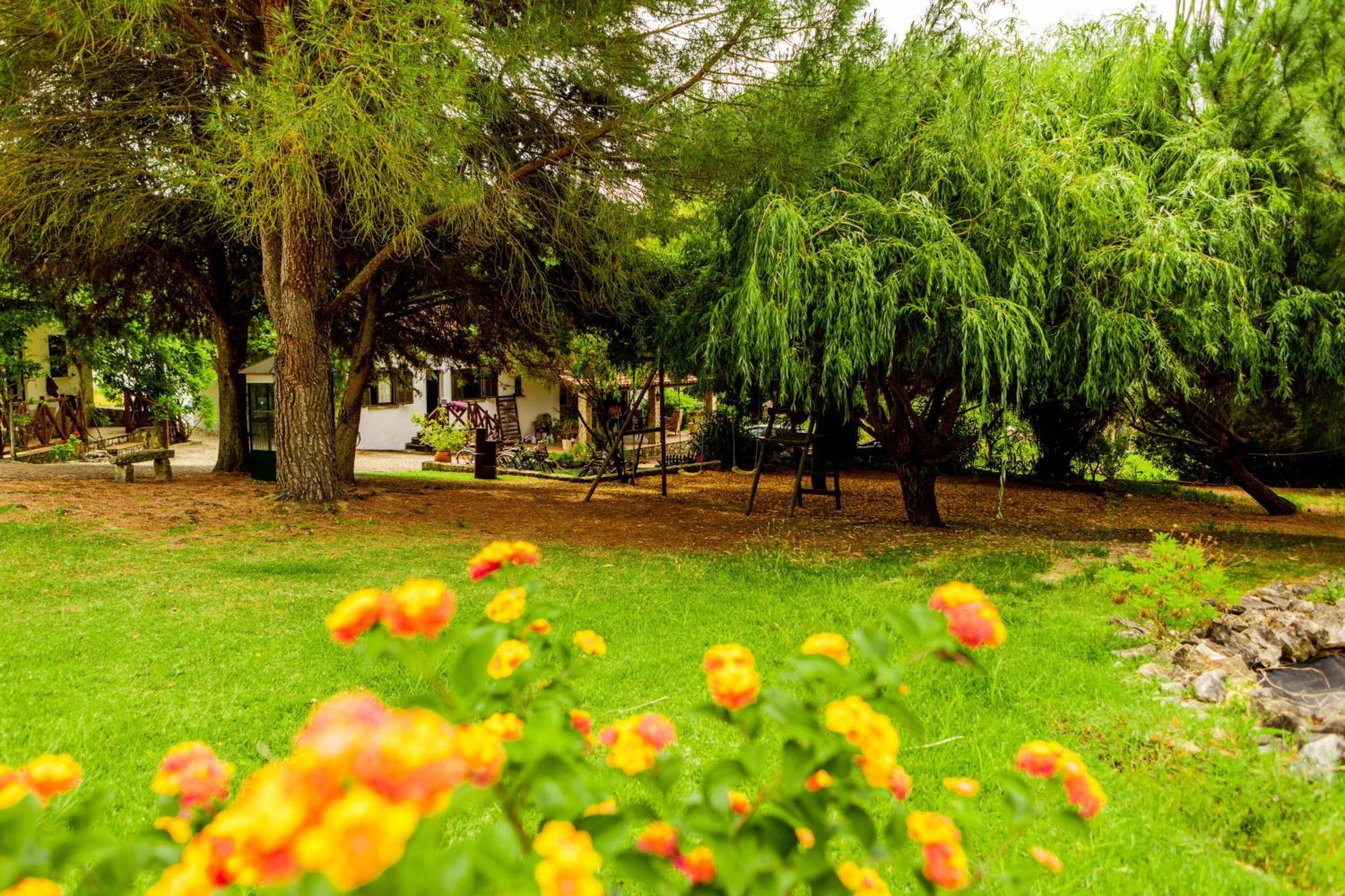 Quinta O Refugio Villa Azambuja Bagian luar foto