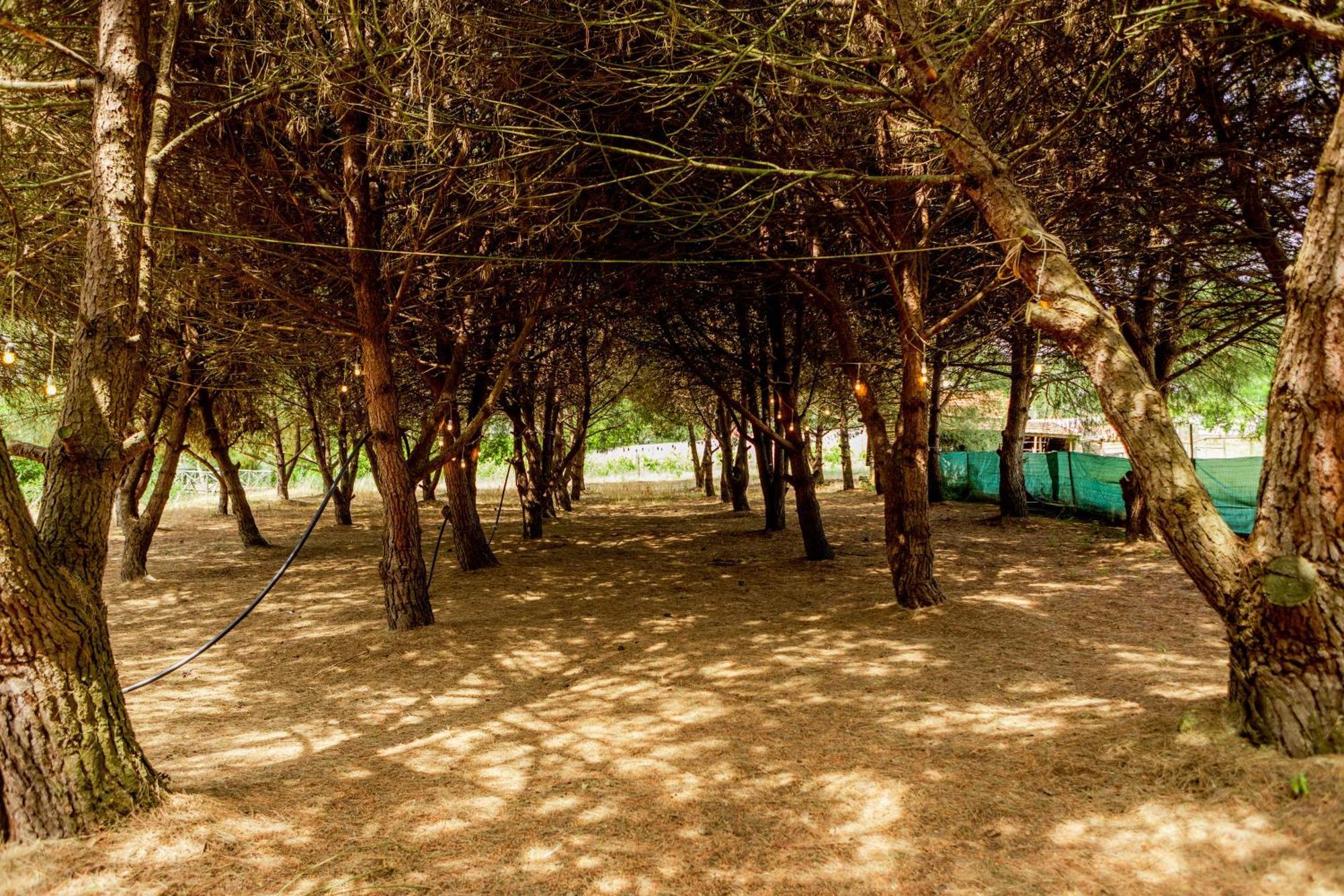 Quinta O Refugio Villa Azambuja Bagian luar foto