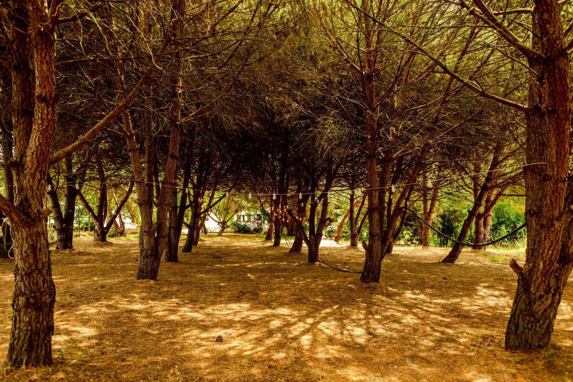 Quinta O Refugio Villa Azambuja Bagian luar foto