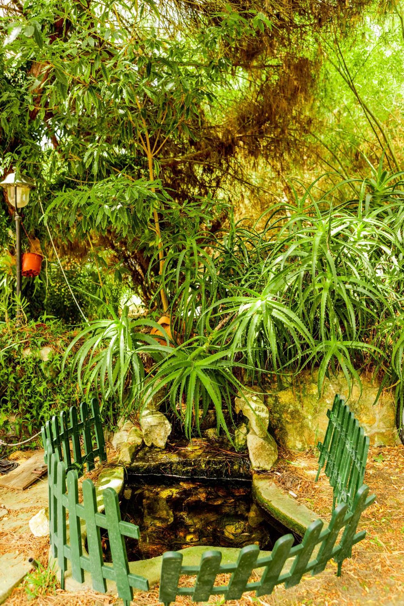 Quinta O Refugio Villa Azambuja Bagian luar foto