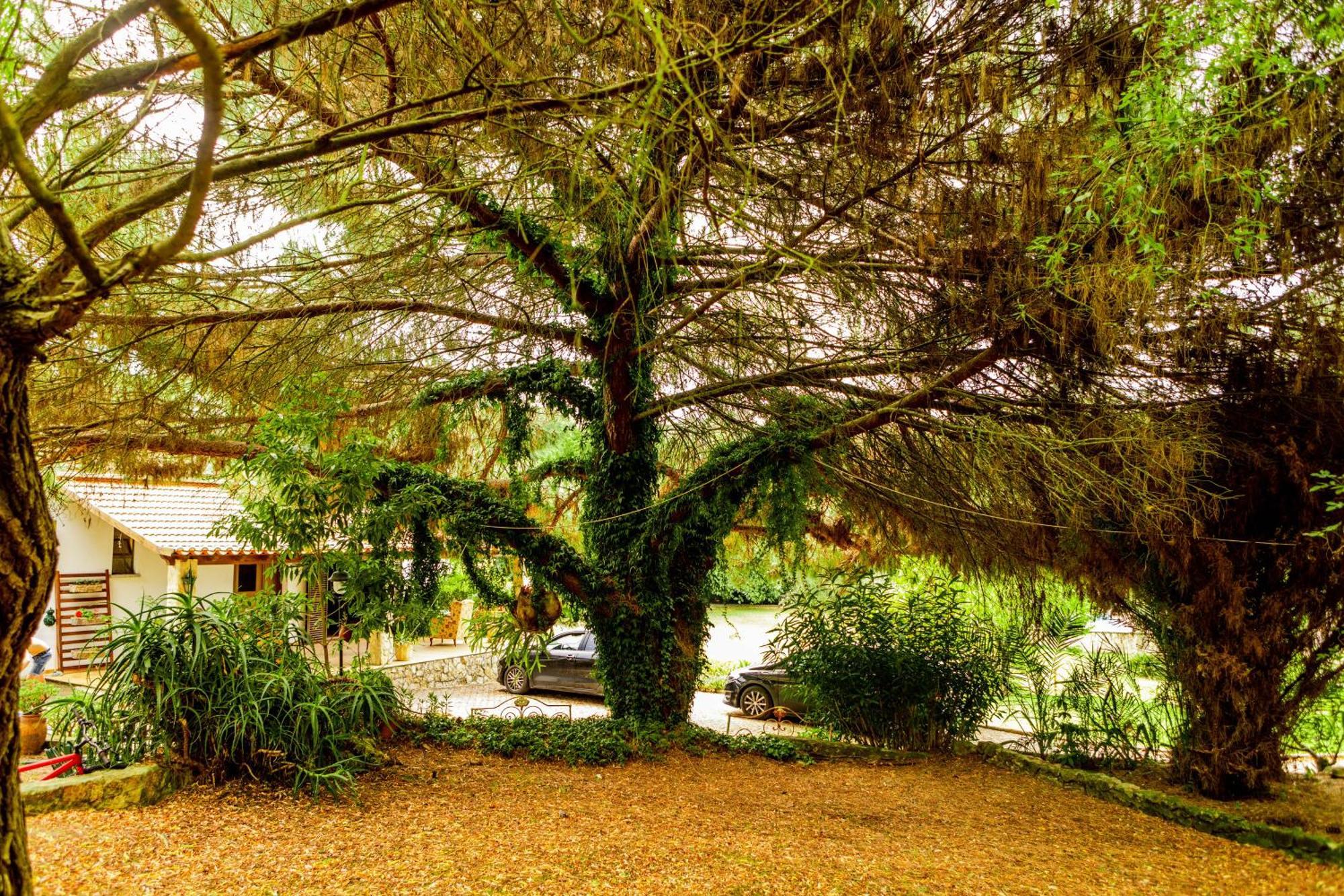 Quinta O Refugio Villa Azambuja Bagian luar foto