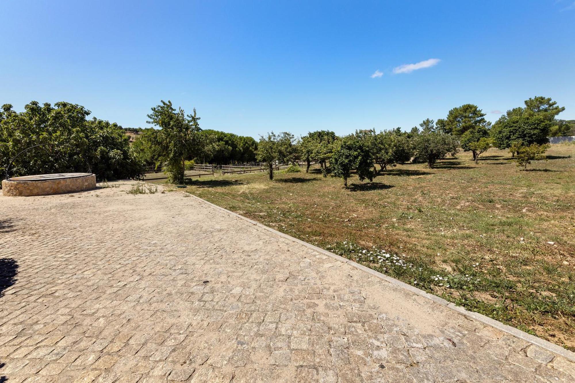 Quinta O Refugio Villa Azambuja Bagian luar foto